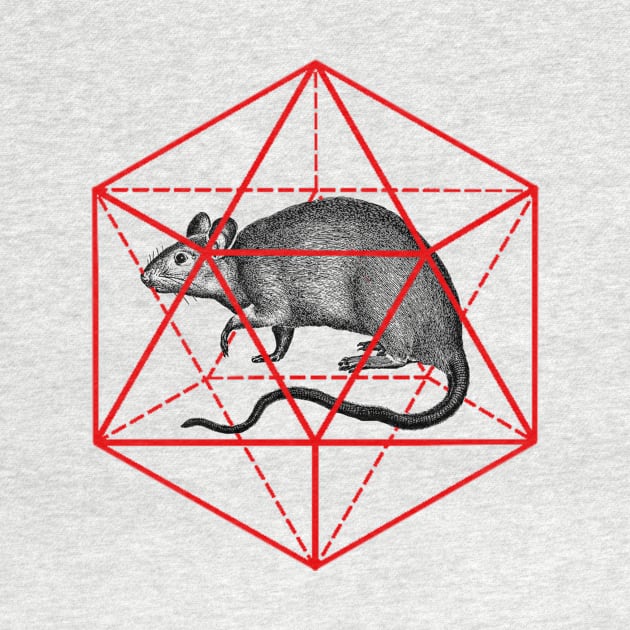 Rat in icosahedron by hardcore repertoire